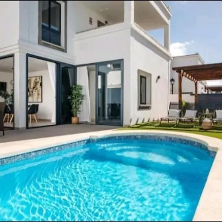 Palmera1 *